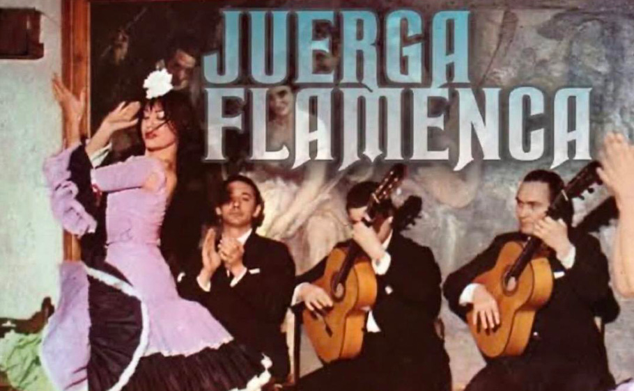 Foto di FLAMENCO JUNGLE